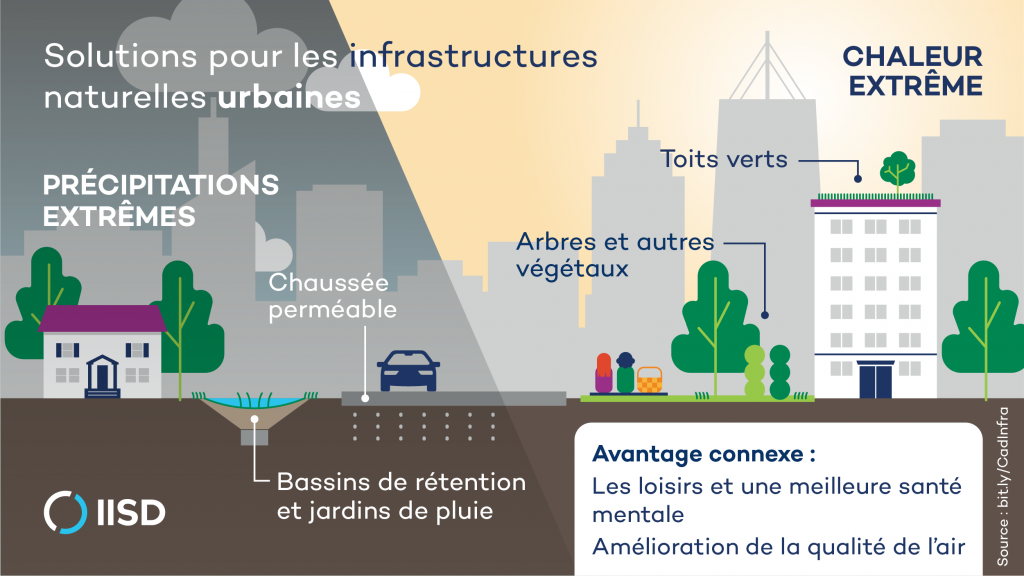 José Aldo : Résilience Et Adaptation Après La Défaite José Aldo : Résilience Et Adaptation Après La Défaite