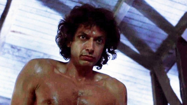 Jurassic Park's Jeff Goldblum: London Appearance Draws Huge Crowds Jurassic Park's Jeff Goldblum: London Appearance Draws Huge Crowds