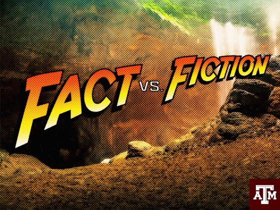 Kanye West's Child Visitation: Fact Vs. Fiction Kanye West's Child Visitation: Fact Vs. Fiction