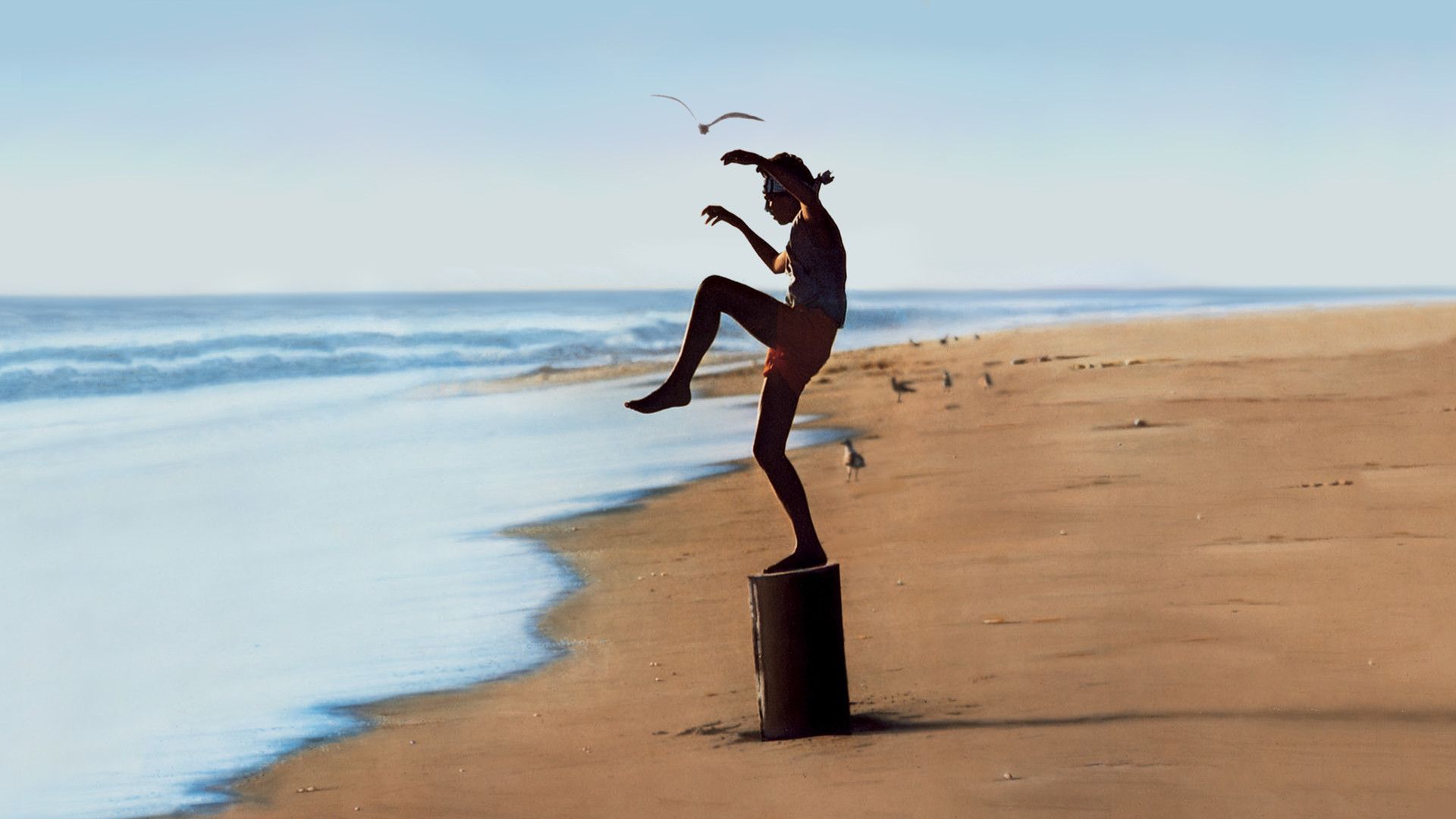 Karate Kid 6: A Balancing Act – Ralph Macchio's Return And A Potential Sequel Controversy Karate Kid 6: A Balancing Act – Ralph Macchio's Return And A Potential Sequel Controversy