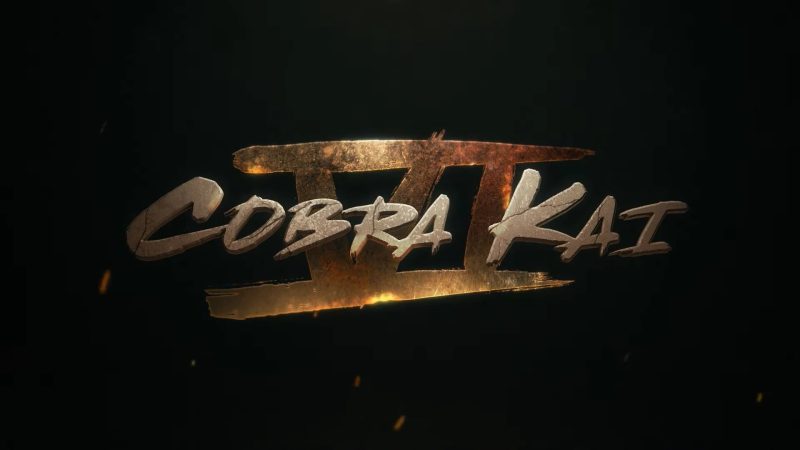 Karate Kid Legacy: A Deep Dive Into Cobra Kai's Continuity Karate Kid Legacy: A Deep Dive Into Cobra Kai's Continuity