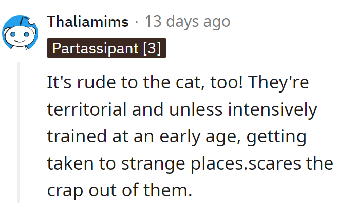 Kashmiri Cat Owners Respond To Worrying Online Content Kashmiri Cat Owners Respond To Worrying Online Content