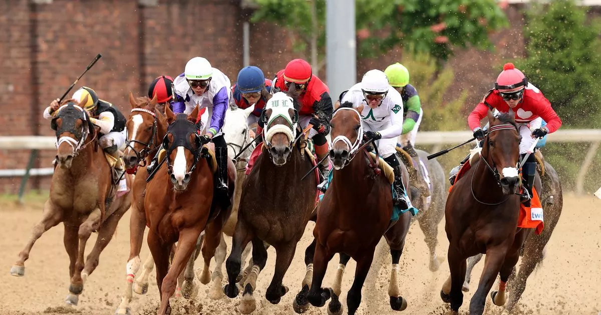 Kentucky Derby 2025: Analyzing Chunk Of Gold's Chances Kentucky Derby 2025: Analyzing Chunk Of Gold's Chances