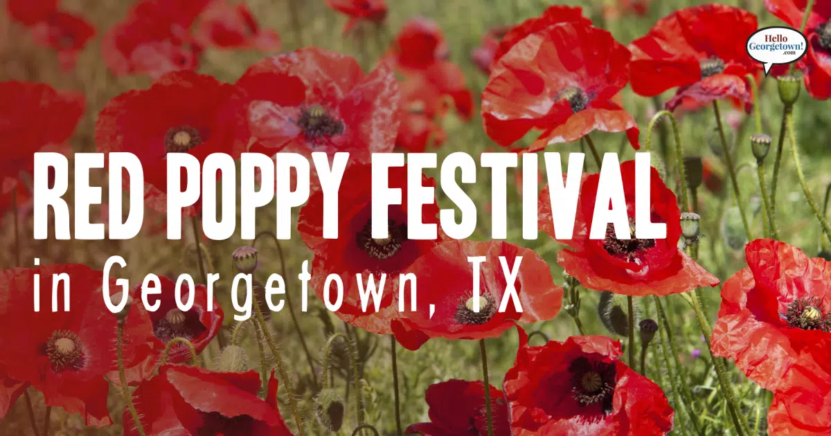 Kentucky Derby Festival: Georgetown Woman Takes The Crown In 2025 Kentucky Derby Festival: Georgetown Woman Takes The Crown In 2025
