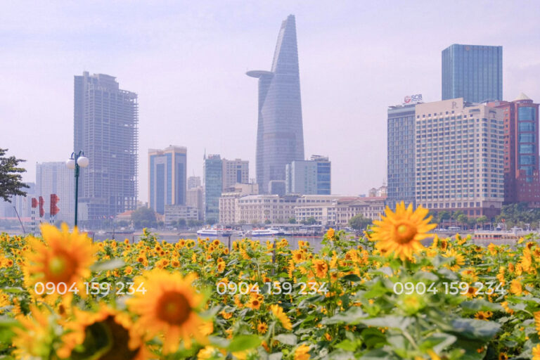 Khám Phá Vẻ Đẹp Công Viên Điện Ảnh Thủ Thiêm Ven Sông Khám Phá Vẻ Đẹp Công Viên Điện Ảnh Thủ Thiêm Ven Sông