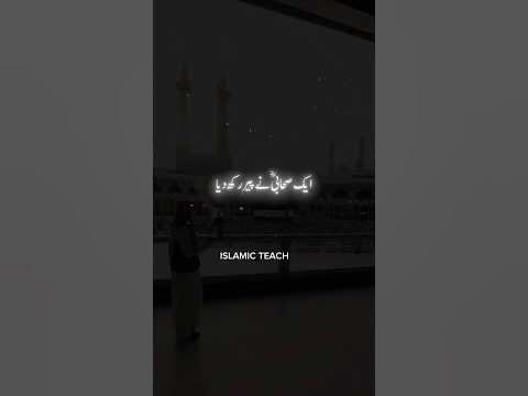خاتون مداح نے ٹام کروز کے جوتے پر پاؤں رکھ دیا: اداکار کا ردعمل خاتون مداح نے ٹام کروز کے جوتے پر پاؤں رکھ دیا: اداکار کا ردعمل