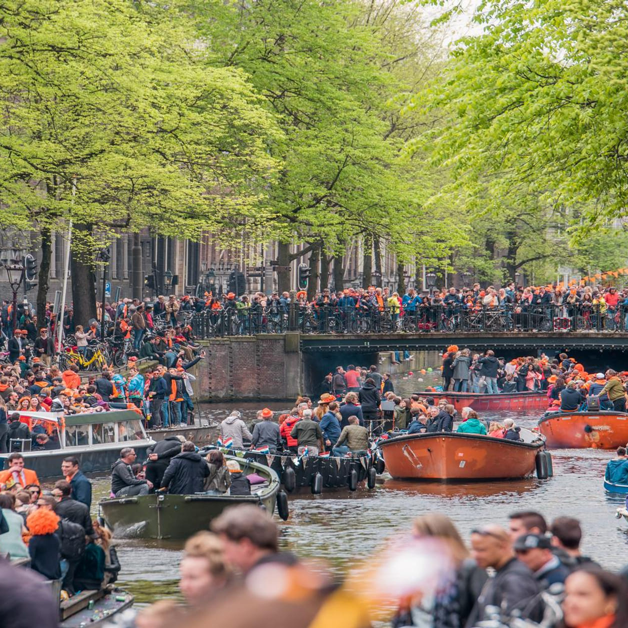 Kings Day In Amsterdam: New Mural At Cafe Celebrates Marjolein Faber's Art Kings Day In Amsterdam: New Mural At Cafe Celebrates Marjolein Faber's Art