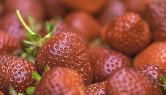 Kivinin Kabuğu: Yenilebilir Mi, Nasıl Yenir Ve Nelere Dikkat Edilmeli? Kivinin Kabuğu: Yenilebilir Mi, Nasıl Yenir Ve Nelere Dikkat Edilmeli?