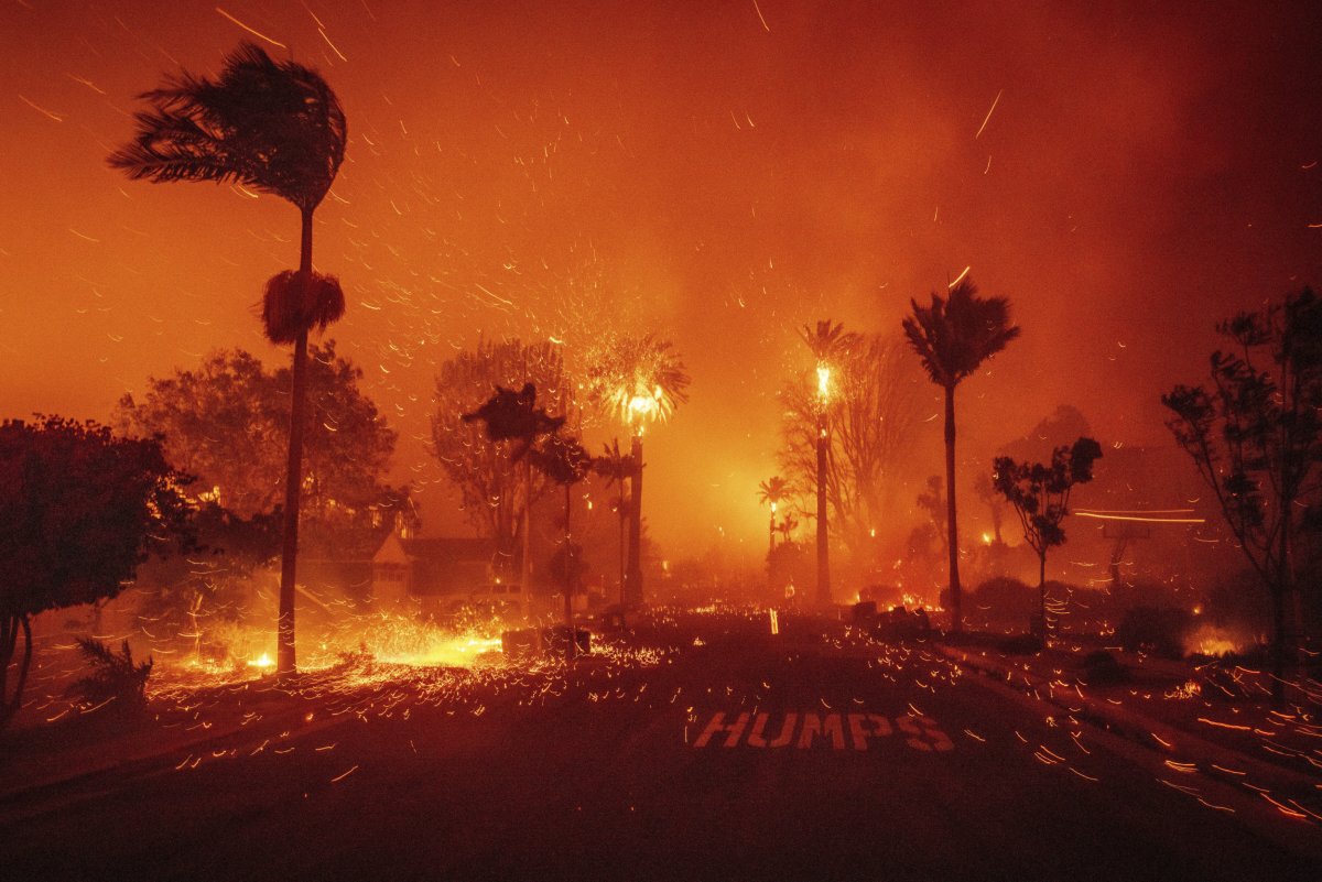 LA Palisades Fire: Full List Of Celebrities Affected By Home Losses LA Palisades Fire: Full List Of Celebrities Affected By Home Losses