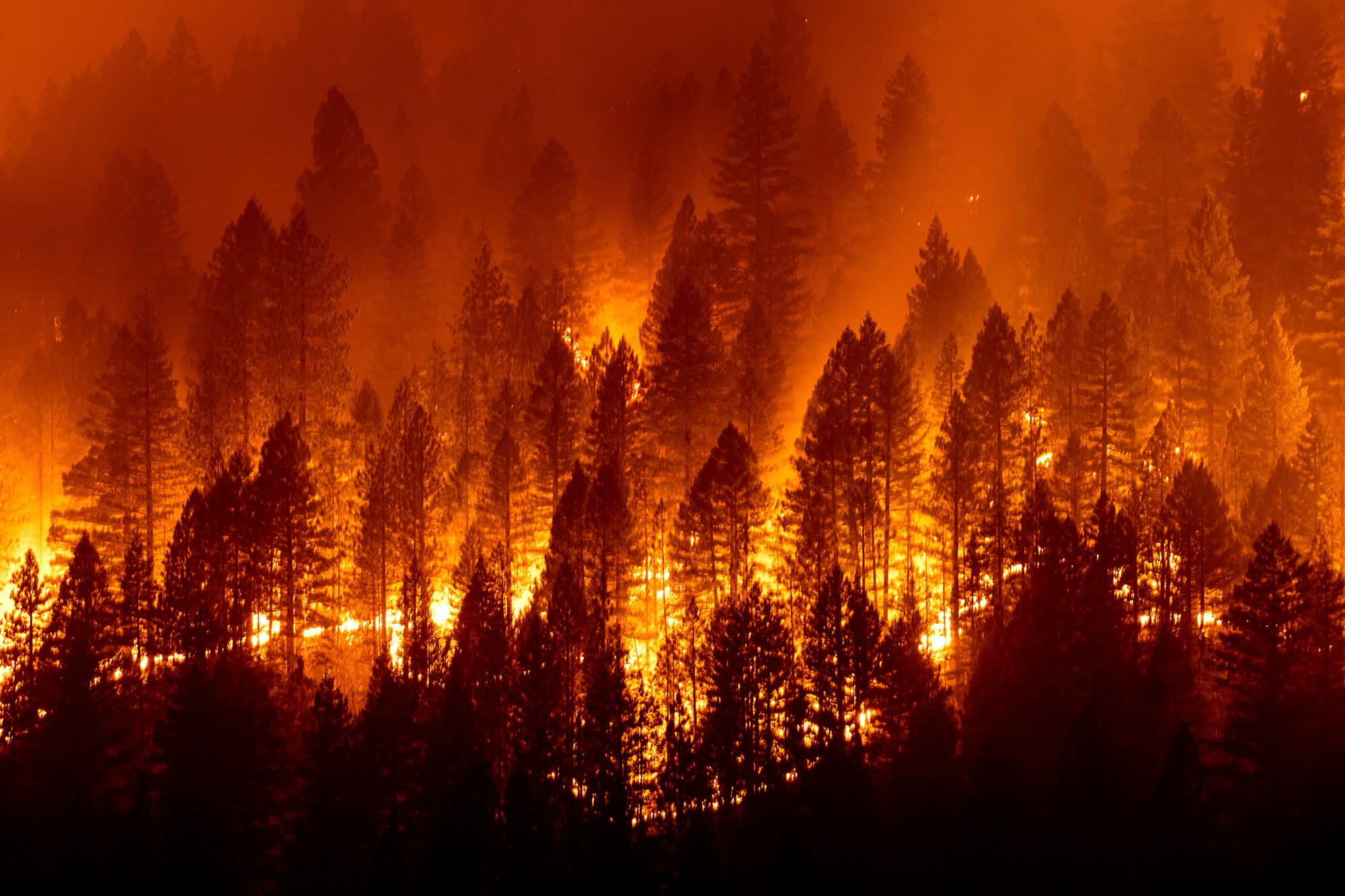 LA Wildfires: A Reflection Of Our Times Through Disaster Betting LA Wildfires: A Reflection Of Our Times Through Disaster Betting