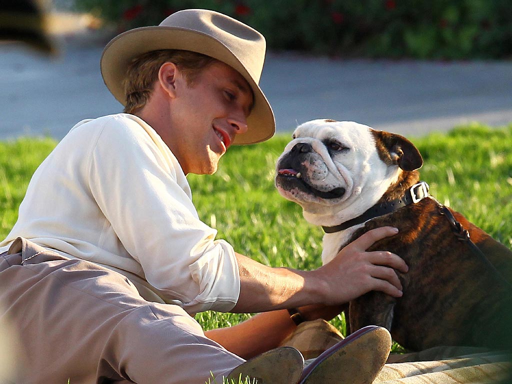 Lars Klingbeil Honored For Commitment To Animal Protection Lars Klingbeil Honored For Commitment To Animal Protection