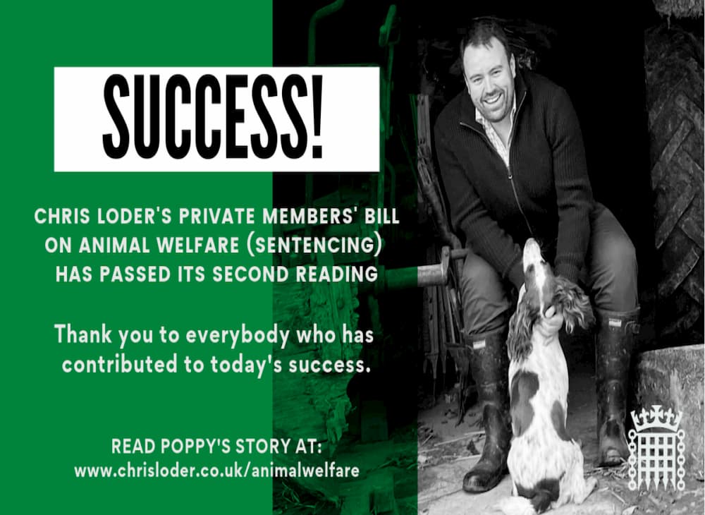Lars Klingbeil Receives Order For Animal Welfare Efforts