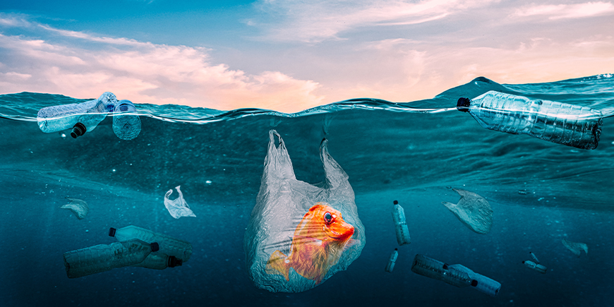 Le Acque Più Inquinate Da Microplastiche: Una Mappa Del Problema