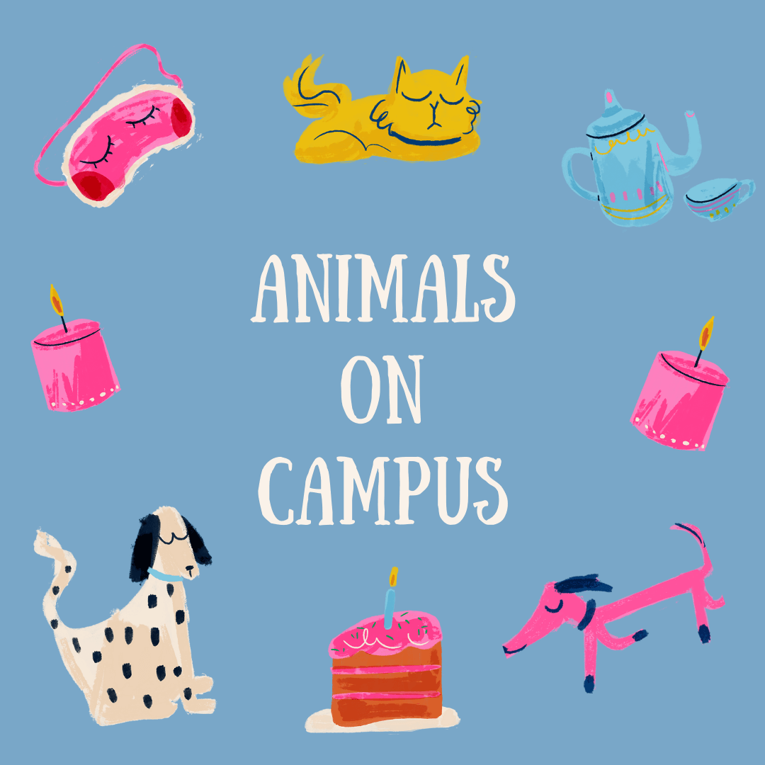 Life Cycle Education Through Campus Farm Animals Life Cycle Education Through Campus Farm Animals
