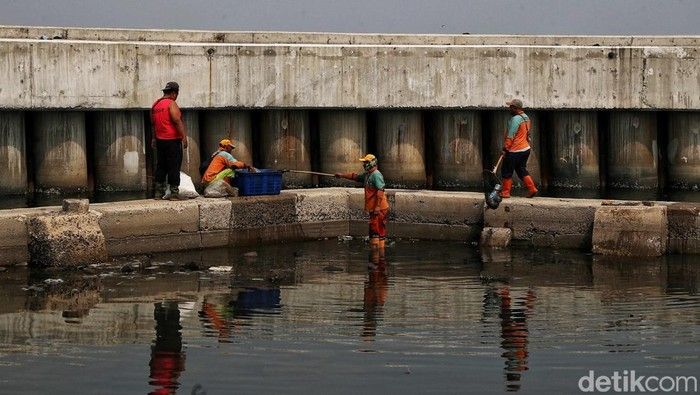 Lindungi Warga Pesisir: Perdebatan Seputar Pembangunan Giant Sea Wall Lindungi Warga Pesisir: Perdebatan Seputar Pembangunan Giant Sea Wall