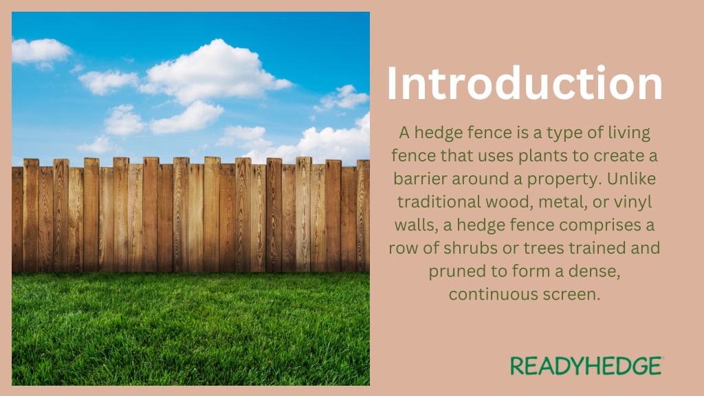 Living Fences: Types, Planting, And Maintenance Living Fences: Types, Planting, And Maintenance