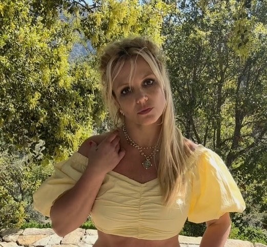 Lizzo Compares Britney Spears To Janet Jackson, Igniting Fan Fury Lizzo Compares Britney Spears To Janet Jackson, Igniting Fan Fury