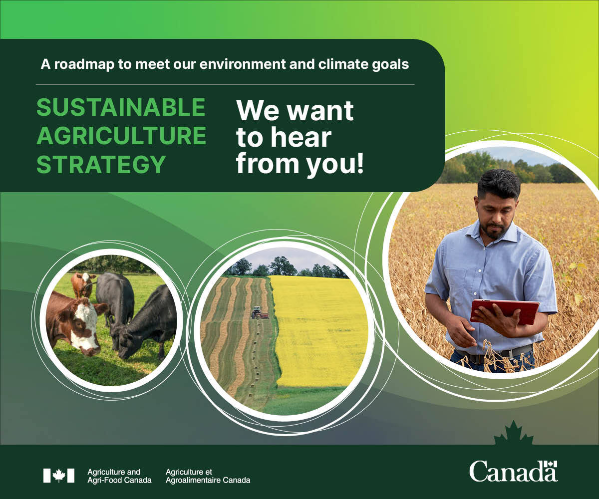 Loblaw's Commitment To Canadian Products: A Sustainable Strategy? Loblaw's Commitment To Canadian Products: A Sustainable Strategy?
