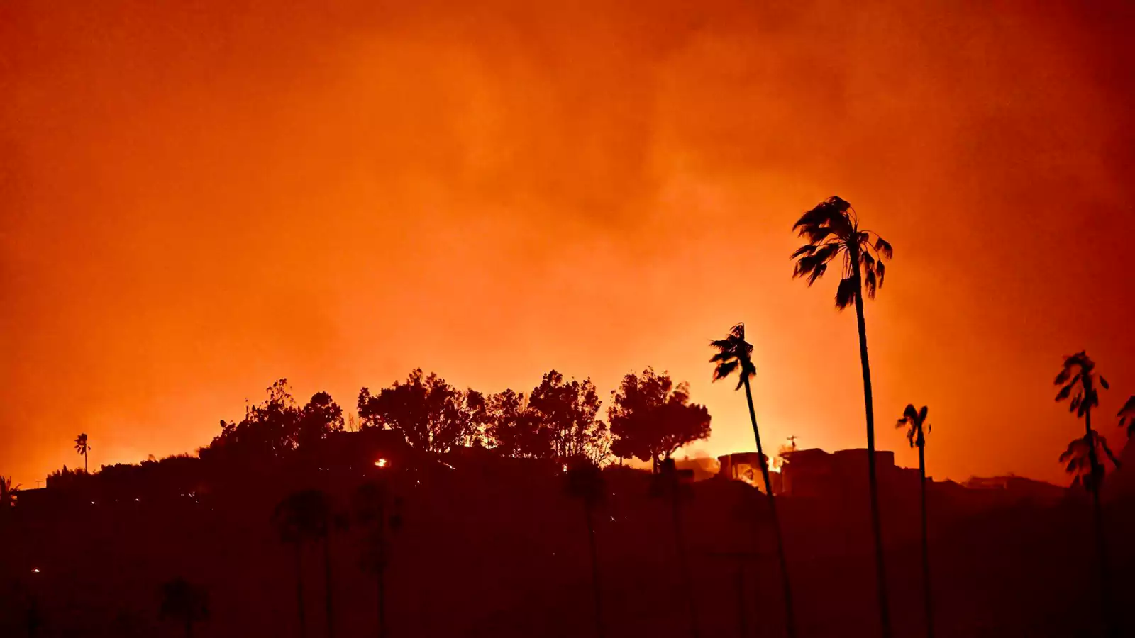 Los Angeles Wildfires: A Growing Market For Speculative Betting? Los Angeles Wildfires: A Growing Market For Speculative Betting?