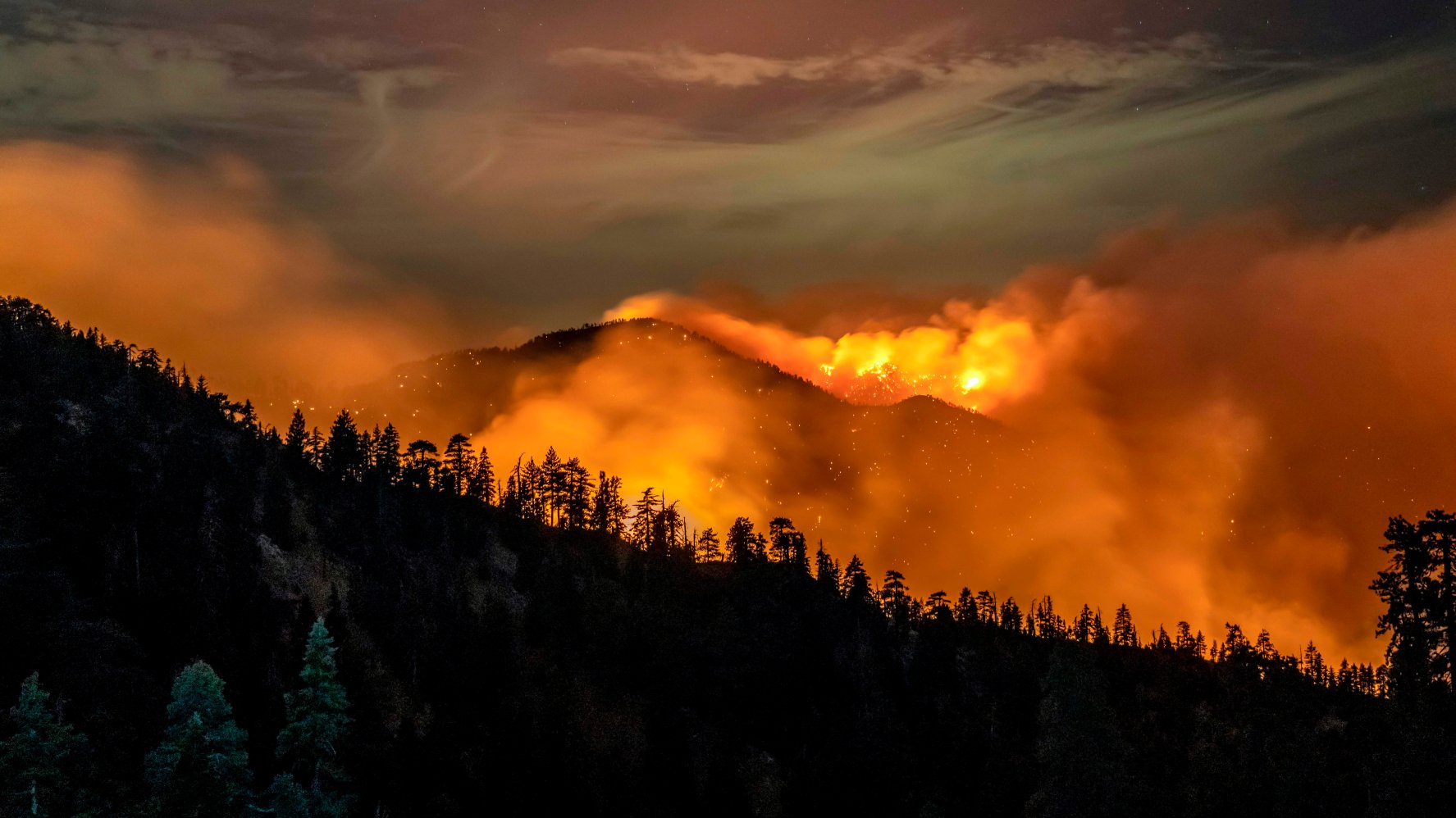 Los Angeles Wildfires: The Disturbing Reality Of Disaster Gambling Los Angeles Wildfires: The Disturbing Reality Of Disaster Gambling