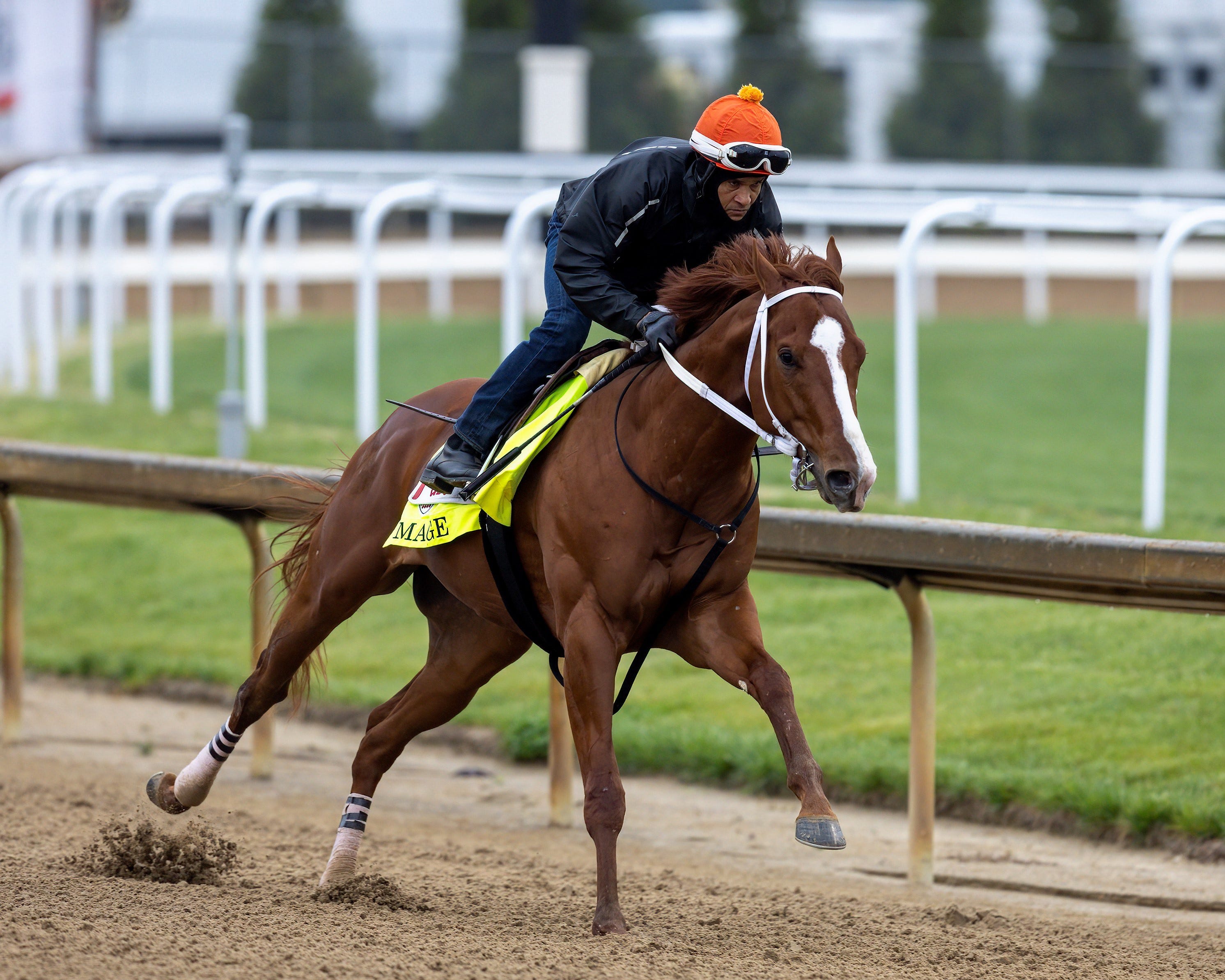 Louisiana Derby 2025: Your Guide To Odds, Potential Runners & Kentucky Derby Prospects Louisiana Derby 2025: Your Guide To Odds, Potential Runners & Kentucky Derby Prospects