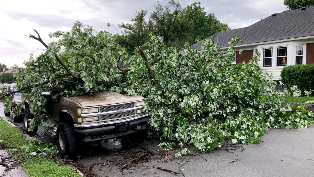Louisville Storm Debris Pickup: How To Request Removal After Severe Weather Louisville Storm Debris Pickup: How To Request Removal After Severe Weather