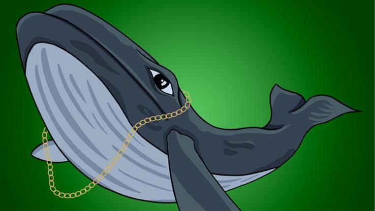 Major XRP Whale Accumulates 20 Million Tokens: Market Impact Analysis Major XRP Whale Accumulates 20 Million Tokens: Market Impact Analysis