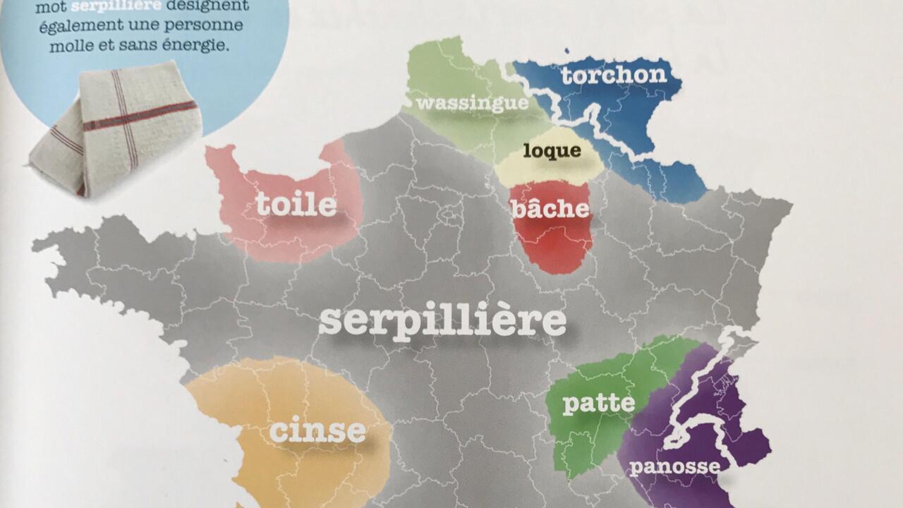 Mathieu Avanzi : Le Français, Une Langue Vivante Qui Dépasse L'école Mathieu Avanzi : Le Français, Une Langue Vivante Qui Dépasse L'école