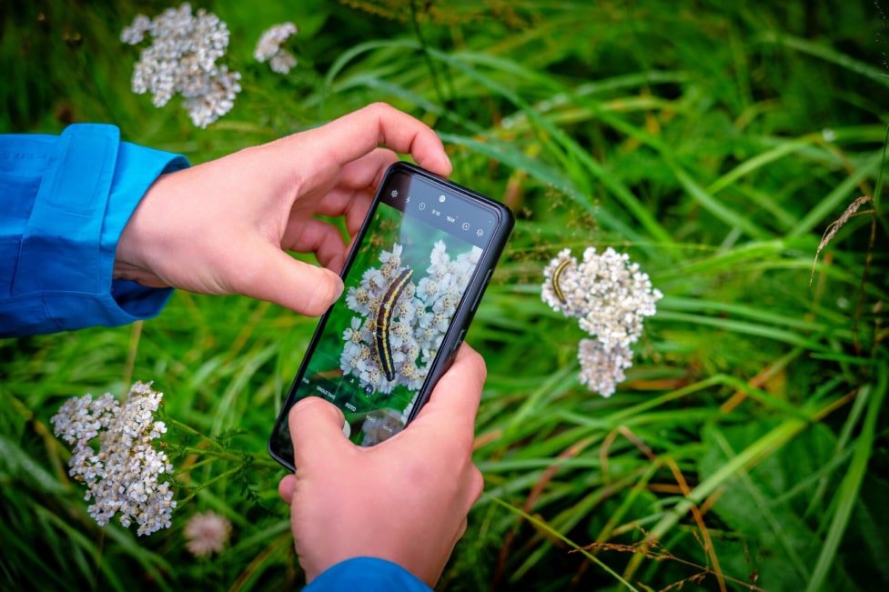 Moderne Technik Zur Waldbrandfrüherkennung In Sachsen: Der Nationalpark Im Fokus Moderne Technik Zur Waldbrandfrüherkennung In Sachsen: Der Nationalpark Im Fokus