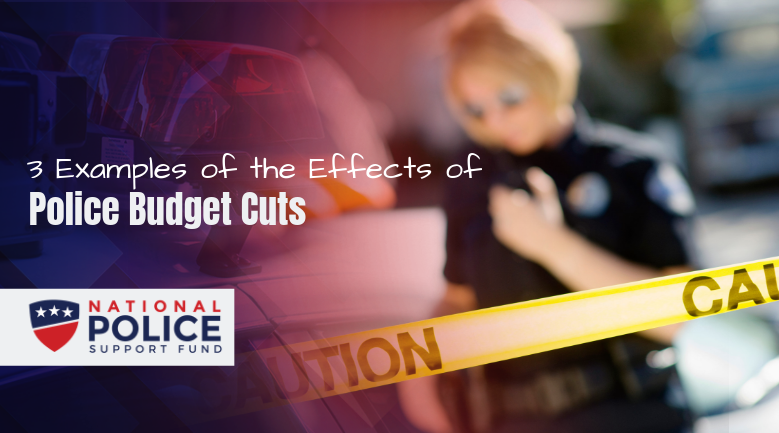 Museum Programs At Risk: Examining The Long-Term Effects Of Budget Cuts Museum Programs At Risk: Examining The Long-Term Effects Of Budget Cuts