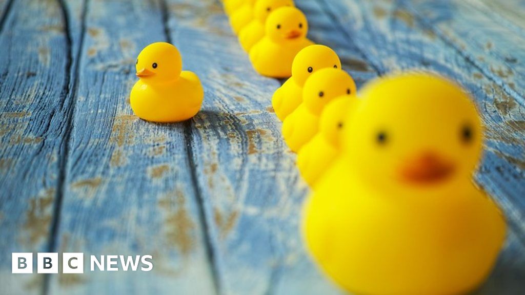 Myrtle Beach Welcomes World's Biggest Rubber Duck To Promote Water Safety Myrtle Beach Welcomes World's Biggest Rubber Duck To Promote Water Safety