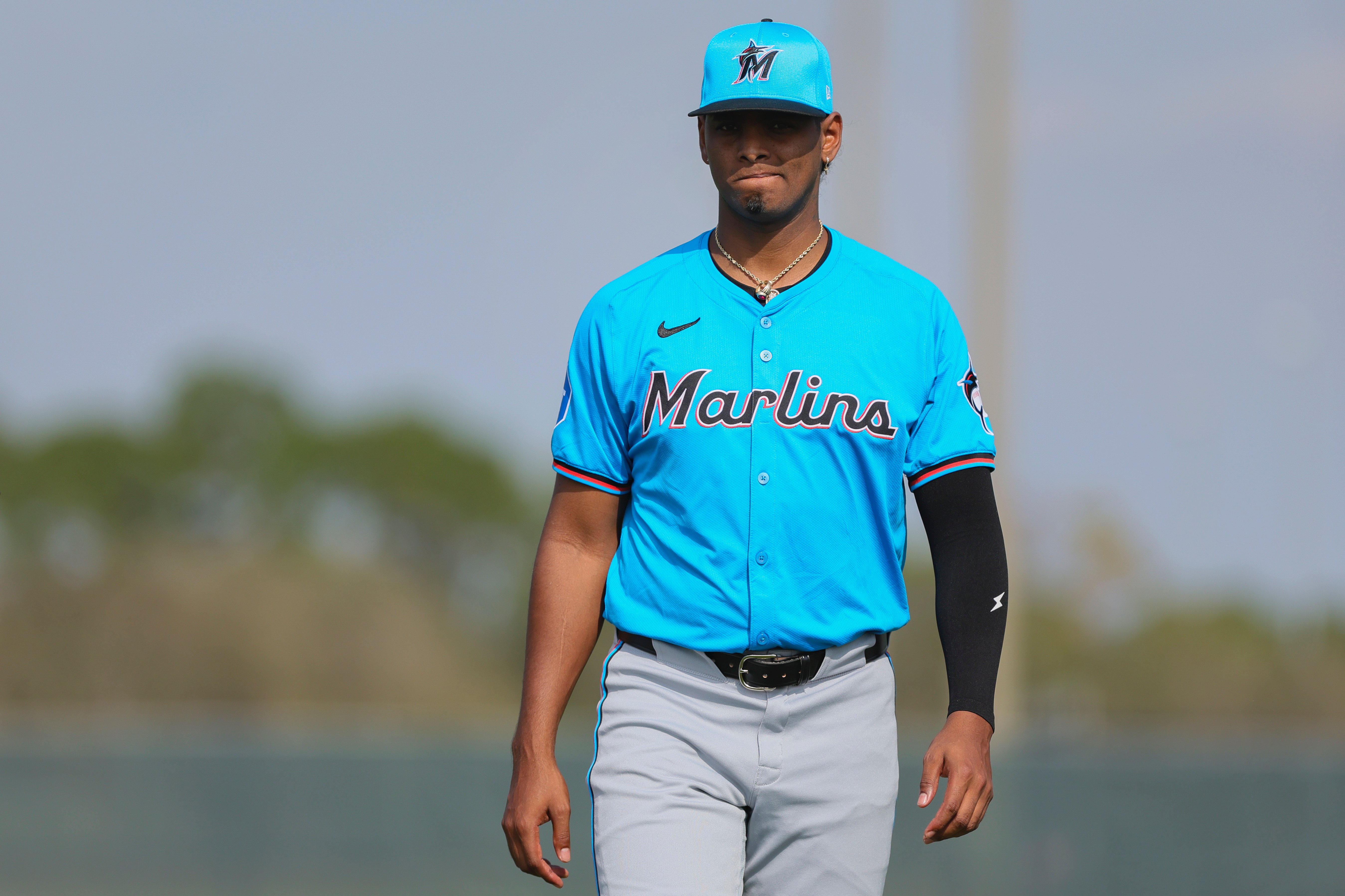 Nationals Fall To Marlins: Stowers And Conine's Stellar Game Nationals Fall To Marlins: Stowers And Conine's Stellar Game
