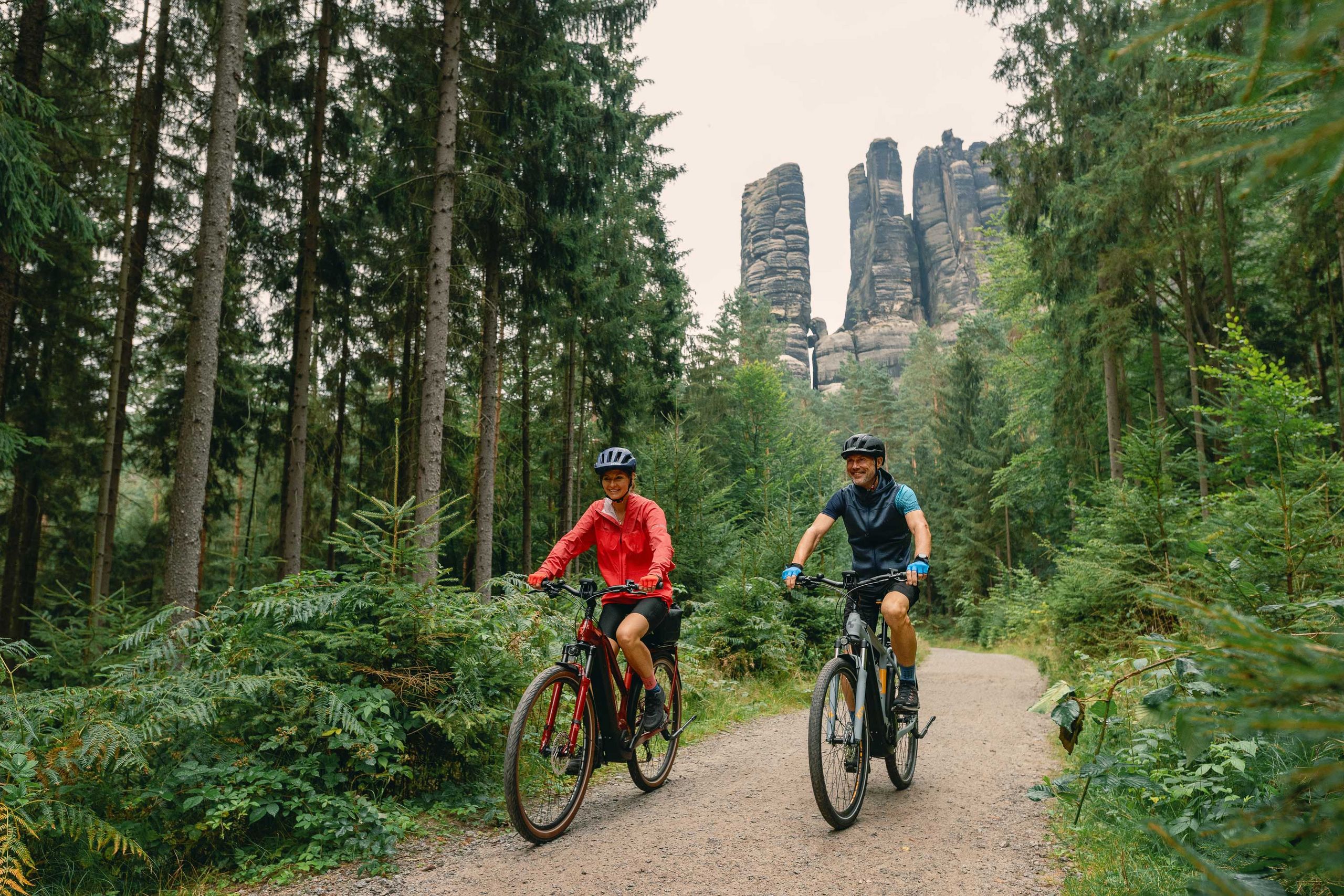 Naturschutz In Sachsen: 190.000 Bäume Im Nationalpark Sächsische Schweiz Gepflanzt Naturschutz In Sachsen: 190.000 Bäume Im Nationalpark Sächsische Schweiz Gepflanzt