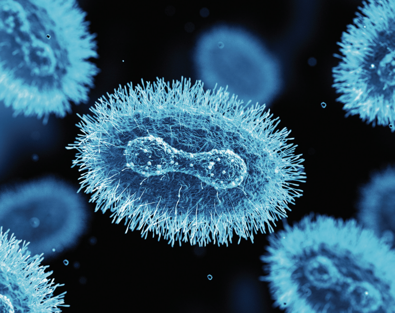 New COVID-19 Variant: A Global Concern, Says WHO New COVID-19 Variant: A Global Concern, Says WHO