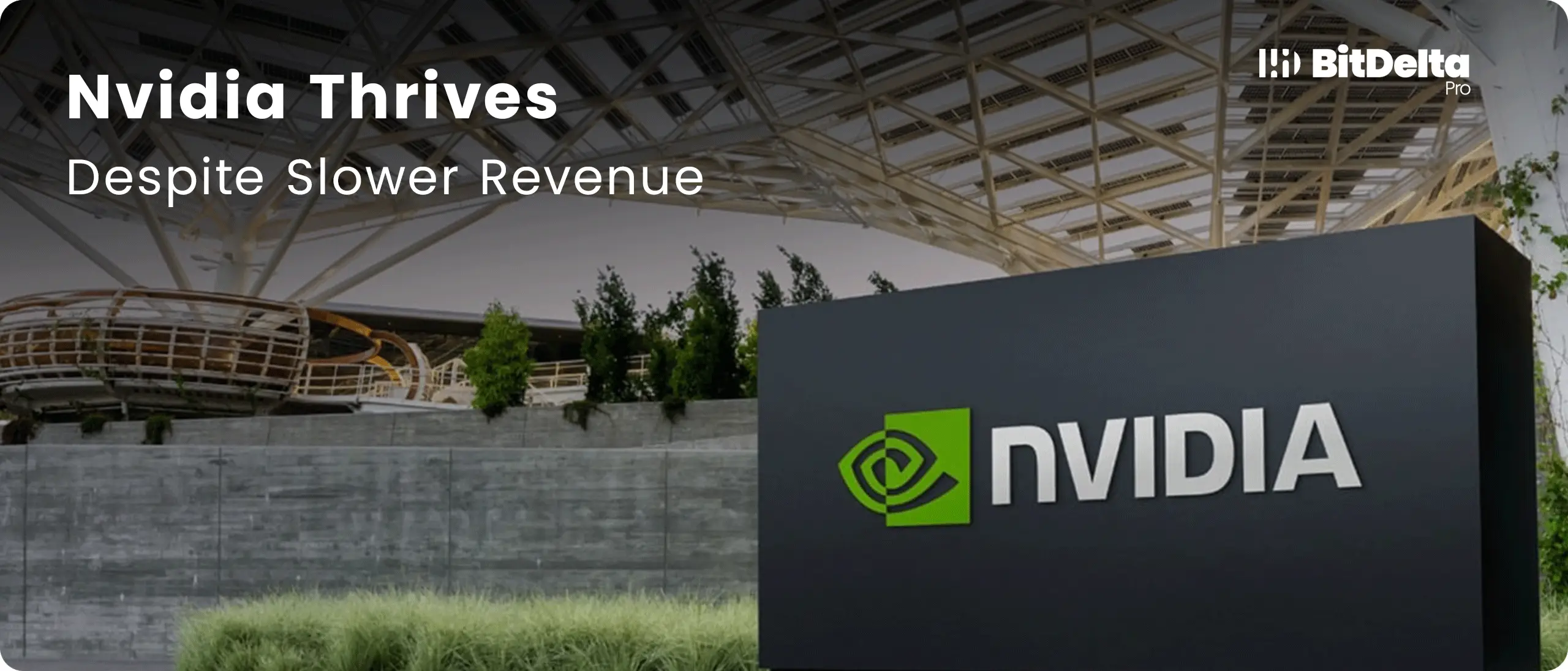Nvidia's Financial Results: Growth Projections Despite China's Impact Nvidia's Financial Results: Growth Projections Despite China's Impact