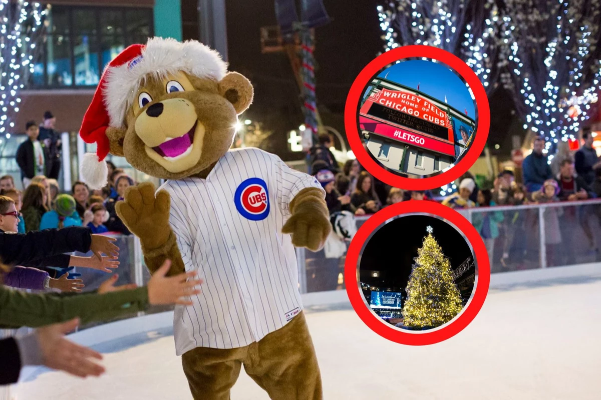Padres' 2025 Season: Streaking Into Wrigley Field Padres' 2025 Season: Streaking Into Wrigley Field
