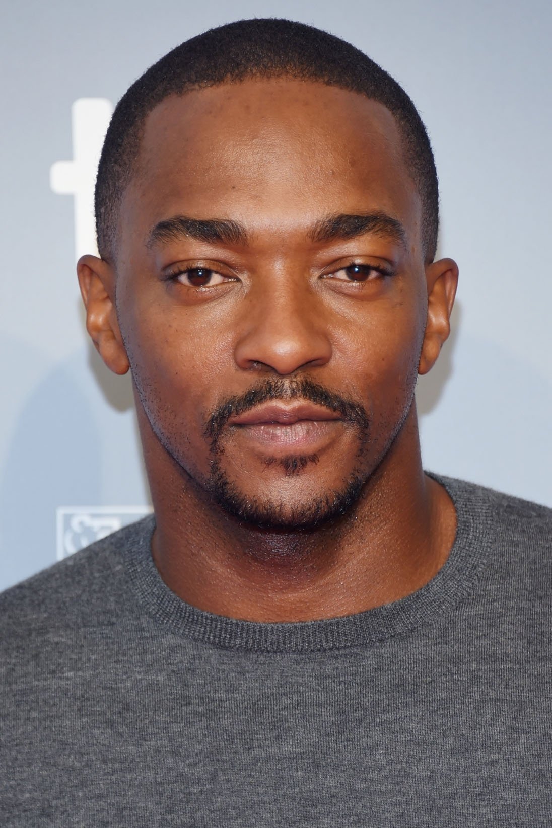 Pedestrian Kids Movie Review: Featuring Anthony Mackie Pedestrian Kids Movie Review: Featuring Anthony Mackie