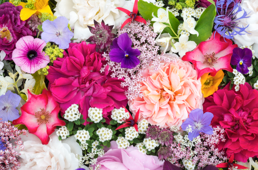 Perennials Vs. Annuals: Choosing The Best Flowers For Your Landscape Perennials Vs. Annuals: Choosing The Best Flowers For Your Landscape
