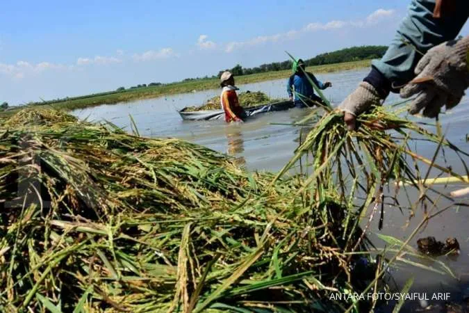 Peringatan Hujan: Kondisi Cuaca Jawa Timur Besok, 24 Maret