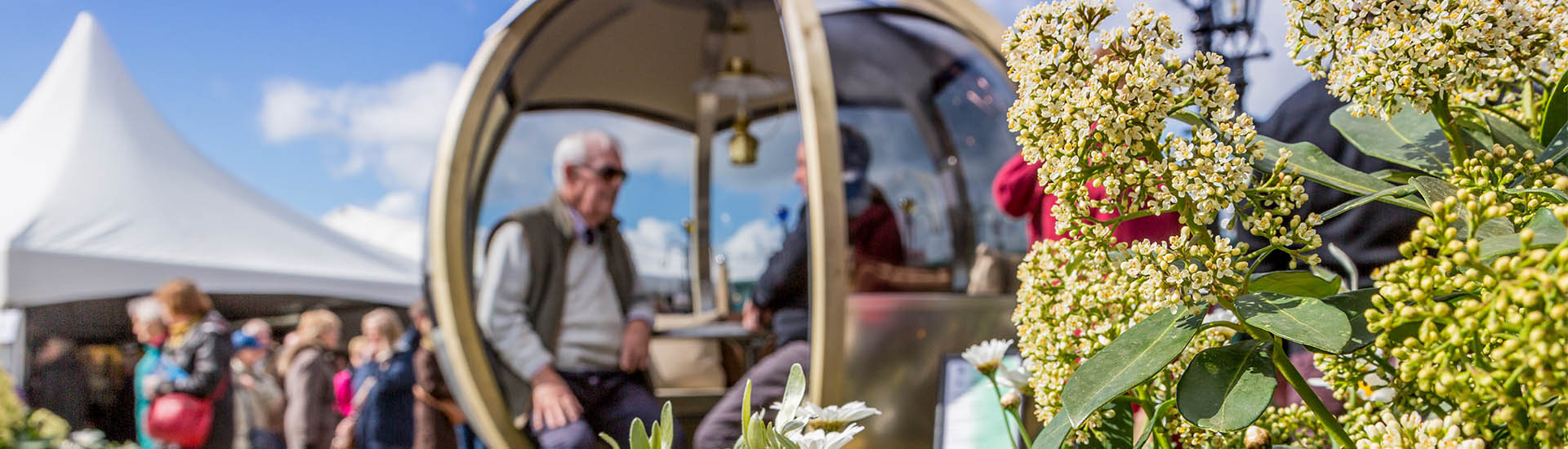 Plan Your Visit: Harrogate Spring Flower Show (April 24-27, 2025) Plan Your Visit: Harrogate Spring Flower Show (April 24-27, 2025)