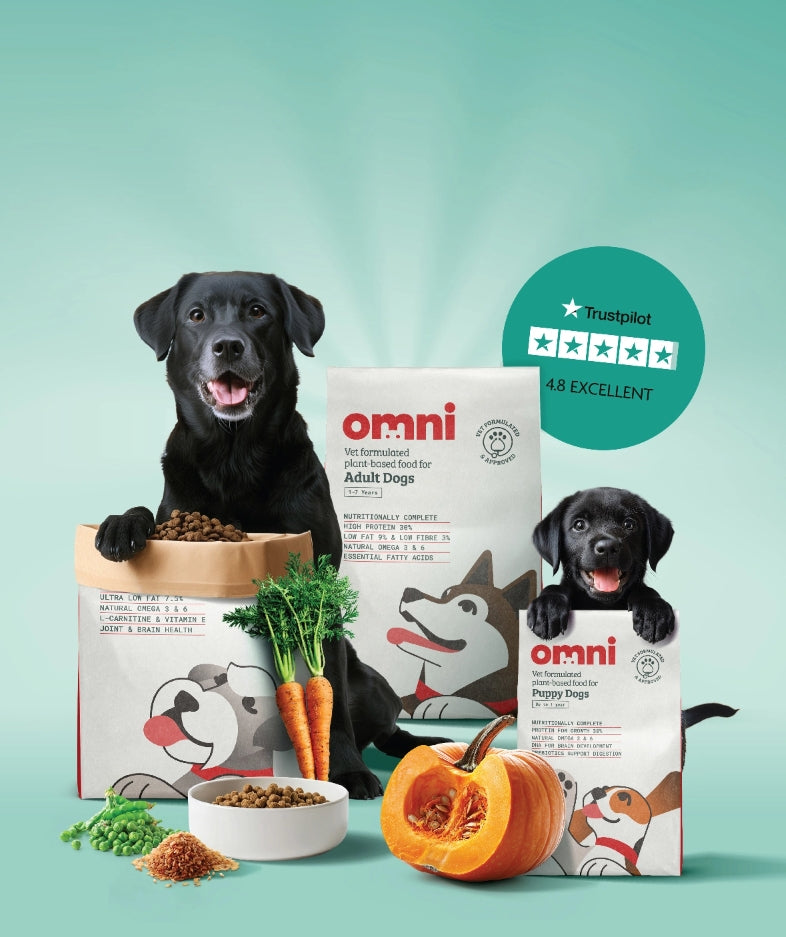 Plant-Based Dog Food Brand Omni Receives Dragon's Den Investment