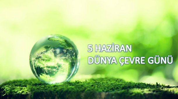 Porsche 956: Tavan Sergisinin Koruma Ve Bakım Açısından Önemi Porsche 956: Tavan Sergisinin Koruma Ve Bakım Açısından Önemi