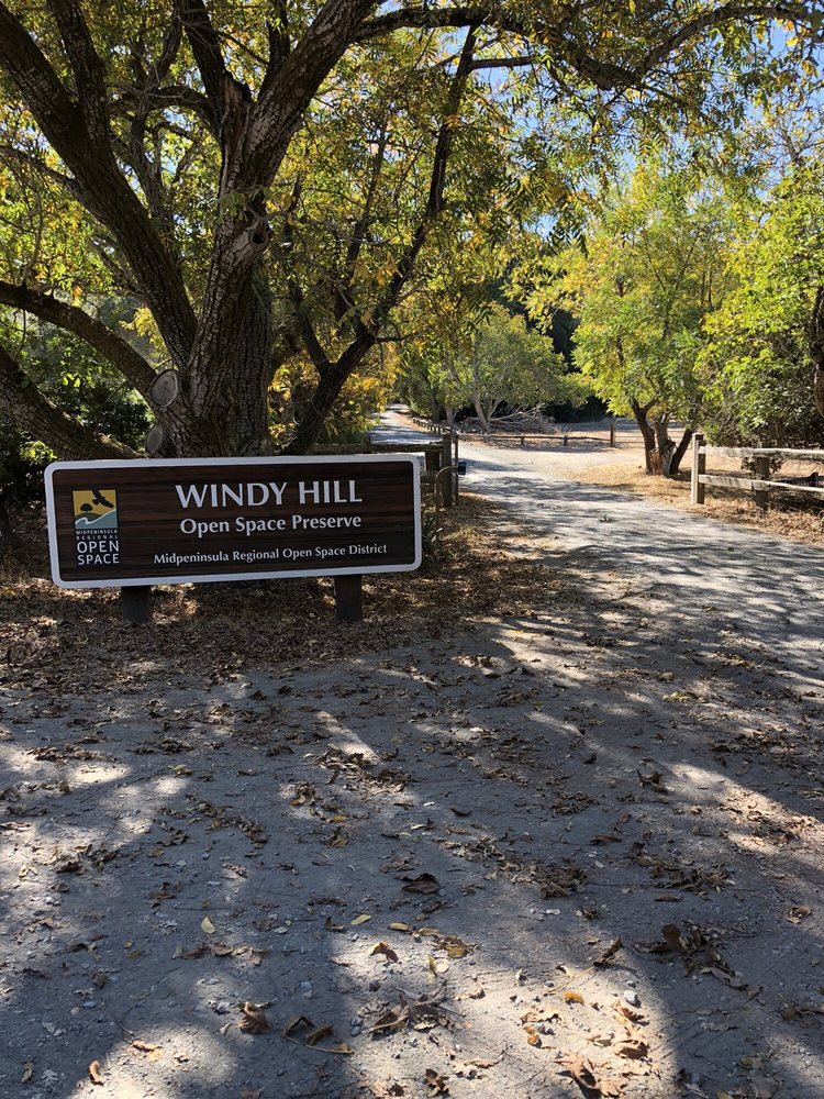 Portola Valley Preserve Search: 79-Year-Old Woman Still Missing Portola Valley Preserve Search: 79-Year-Old Woman Still Missing