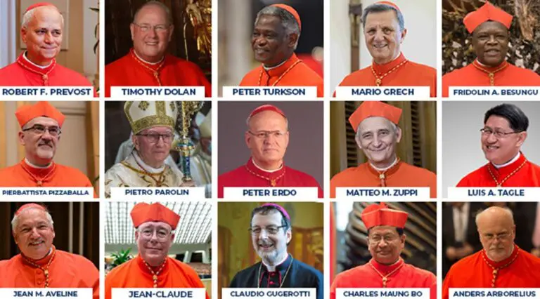 Possible Successors To Pope Francis: Leading Candidates For The Papacy Possible Successors To Pope Francis: Leading Candidates For The Papacy