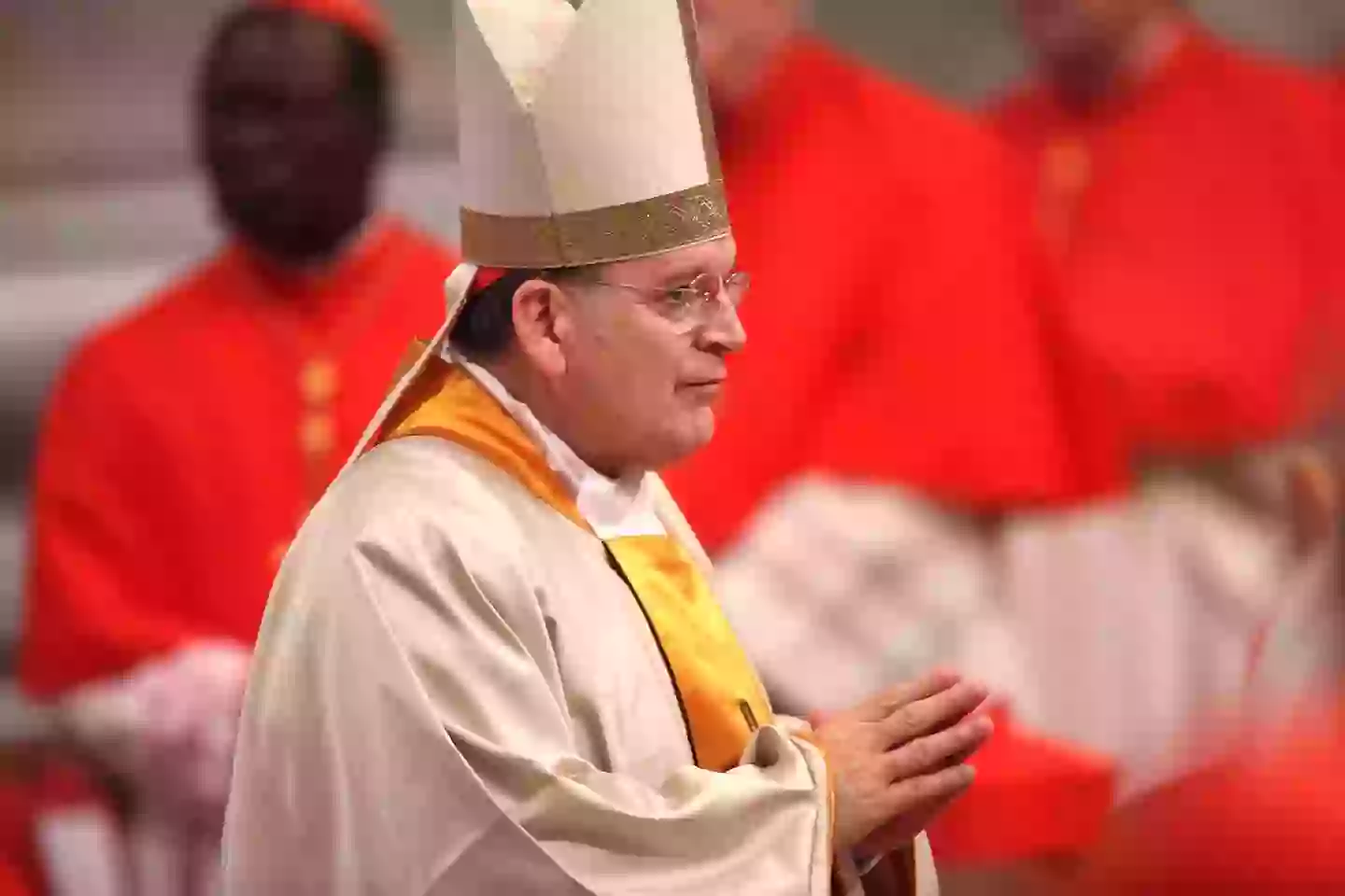 Possible Successors To Pope Francis: Leading Cardinals And Their Platforms Possible Successors To Pope Francis: Leading Cardinals And Their Platforms