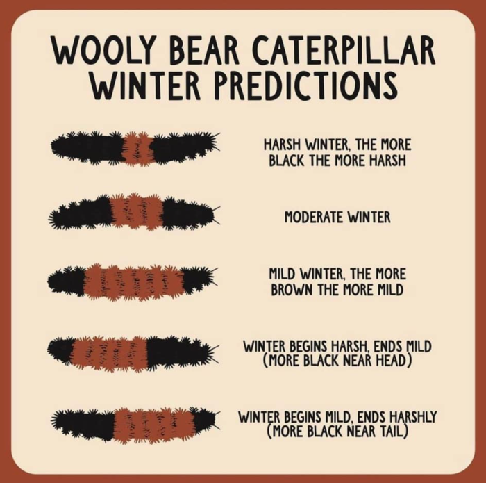 Predicting Winter Weather: A Comprehensive Timeline