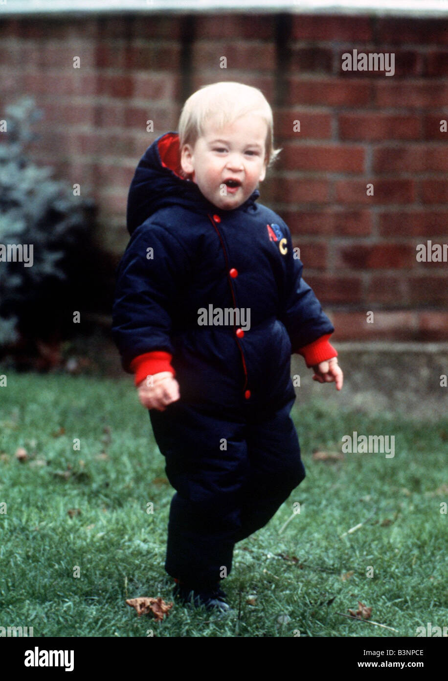 Prince William's Thoughtful Portrait Released By Kensington Palace Prince William's Thoughtful Portrait Released By Kensington Palace