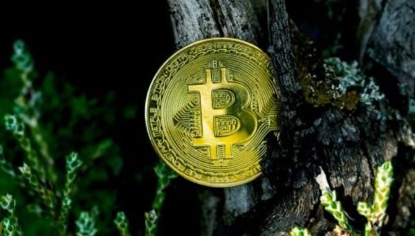 ProShares Launches XRP ETFs: No Spot Market, But Price Jumps ProShares Launches XRP ETFs: No Spot Market, But Price Jumps