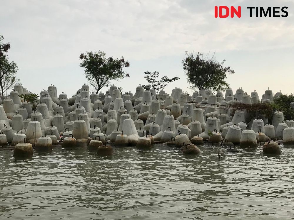 Proyek PSN Giant Sea Wall: Menko AHY Rapat, Jadwal Pembangunan Terbaru Proyek PSN Giant Sea Wall: Menko AHY Rapat, Jadwal Pembangunan Terbaru