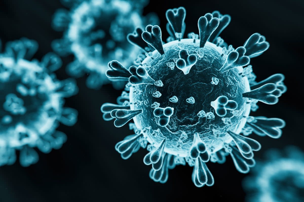 Recent COVID-19 Surge: The Suspected Role Of A New Variant Recent COVID-19 Surge: The Suspected Role Of A New Variant